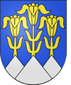 Blumenstein