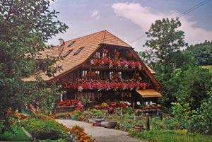 Single Urlaub Aus Wattenwil