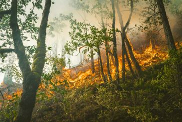Aktuelle Situation Waldbrandgefahr - Gefahrenstufe 4