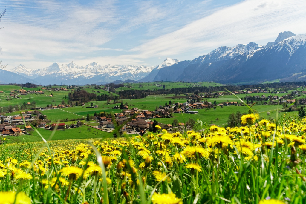login-bild