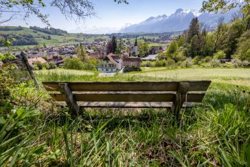 Teilrevision Friedhofreglement per 01.01.2027
