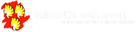 Logo Footer